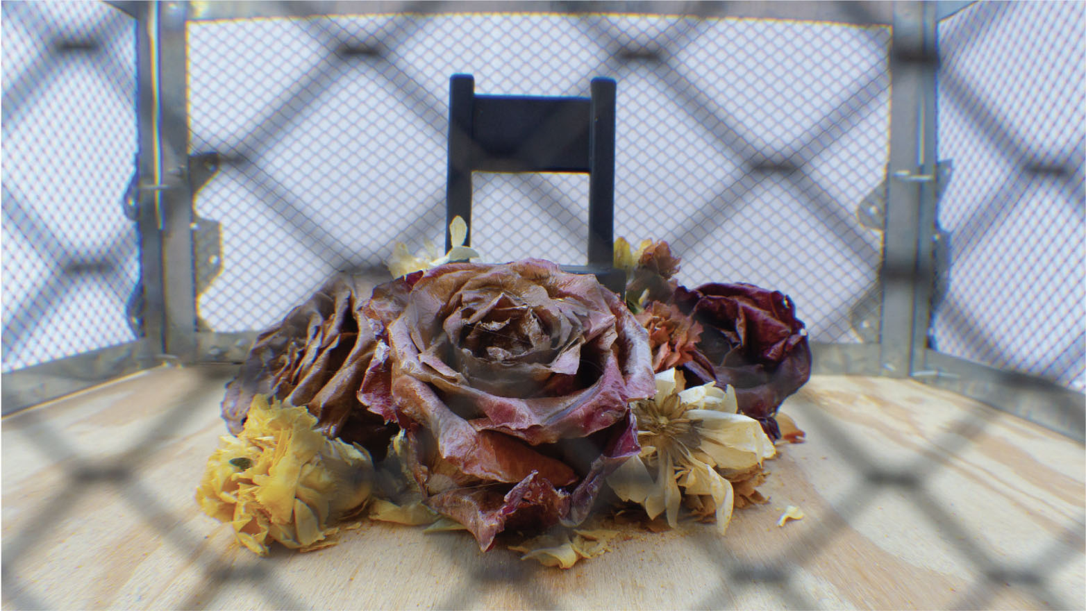 Alejandra Arevalo Assemblage Detail