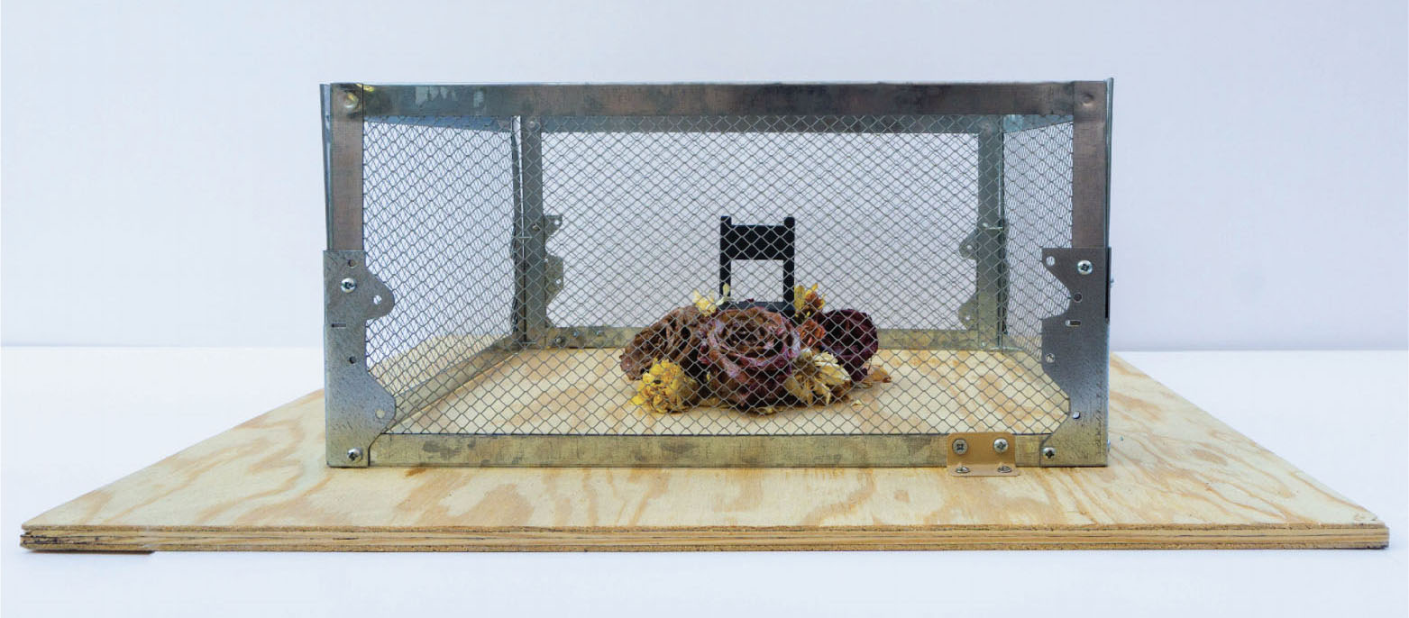 Alejandra Arevalo Assemblage Full Size